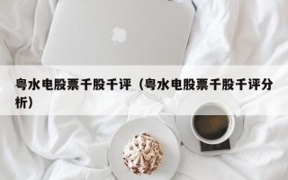 粤水电股票千股千评（粤水电股票千股千评分析）