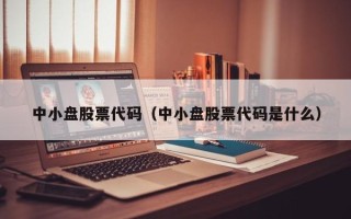 中小盘股票代码（中小盘股票代码是什么）