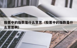 股票中的指数是什么意思（股票中的指数是什么意思啊）