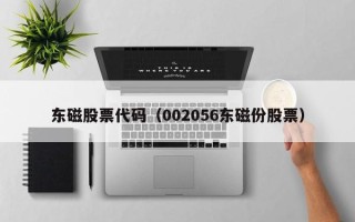 东磁股票代码（002056东磁份股票）