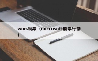 wins股票（microsoft股票行情）