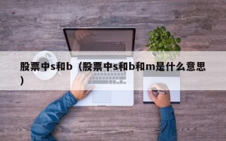 股票中s和b（股票中s和b和m是什么意思）