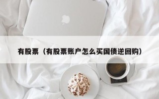 有股票（有股票账户怎么买国债逆回购）