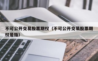 不可公开交易股票期权（不可公开交易股票期权是指）