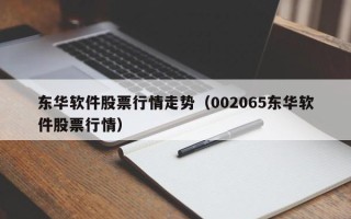 东华软件股票行情走势（002065东华软件股票行情）