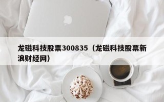 龙磁科技股票300835（龙磁科技股票新浪财经网）