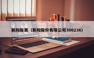 新阳股票（新阳股份有限公司300236）