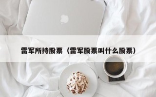 雷军所持股票（雷军股票叫什么股票）