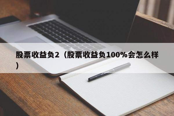 股票收益负2（股票收益负100%会怎么样）-第1张图片-股票学习网