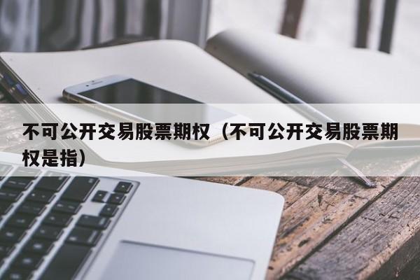 不可公开交易股票期权（不可公开交易股票期权是指）-第1张图片-股票学习网