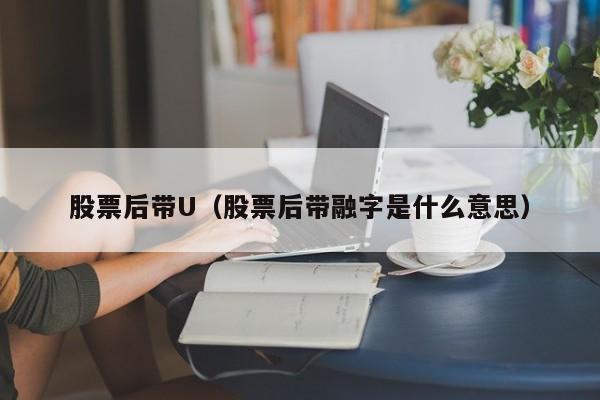 股票后带U（股票后带融字是什么意思）-第1张图片-股票学习网