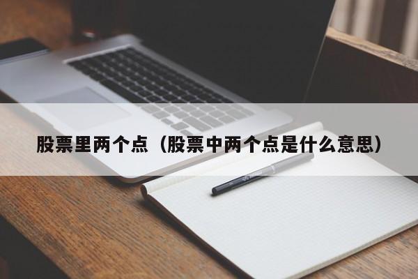 股票里两个点（股票中两个点是什么意思）-第1张图片-股票学习网