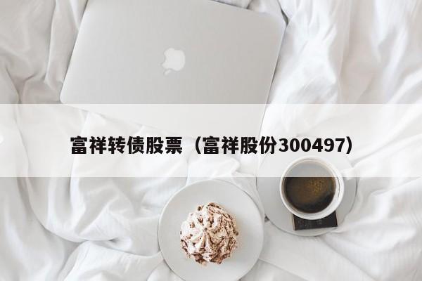 富祥转债股票（富祥股份300497）-第1张图片-股票学习网