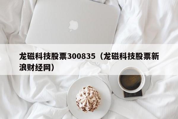 龙磁科技股票300835（龙磁科技股票新浪财经网）-第1张图片-股票学习网