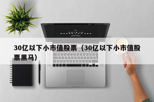 30亿以下小市值股票（30亿以下小市值股票黑马）-第1张图片-股票学习网