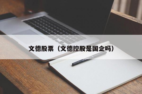 文德股票（文德控股是国企吗）-第1张图片-股票学习网