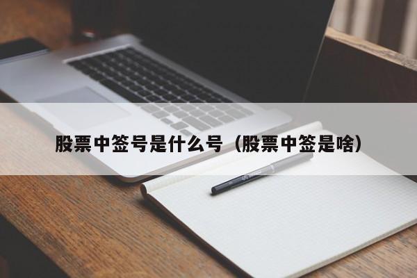 股票中签号是什么号（股票中签是啥）-第1张图片-股票学习网