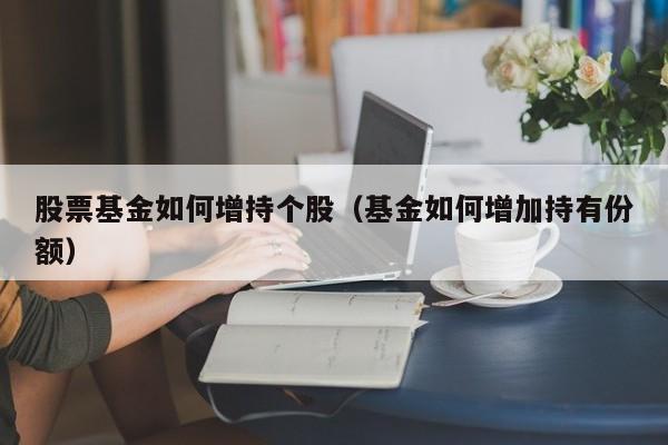 股票基金如何增持个股（基金如何增加持有份额）-第1张图片-股票学习网