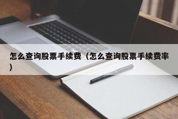 怎么查询股票手续费（怎么查询股票手续费率）-第1张图片-股票学习网