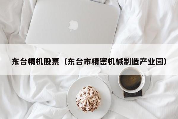 东台精机股票（东台市精密机械制造产业园）-第1张图片-股票学习网