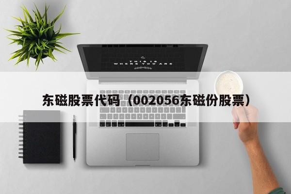 东磁股票代码（002056东磁份股票）-第1张图片-股票学习网