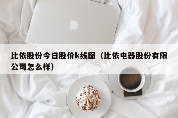 比依股份今日股价k线图（比依电器股份有限公司怎么样）-第1张图片-股票学习网