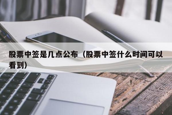 股票中签是几点公布（股票中签什么时间可以看到）-第1张图片-股票学习网