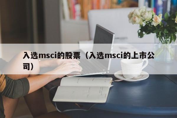 入选msci的股票（入选msci的上市公司）-第1张图片-股票学习网