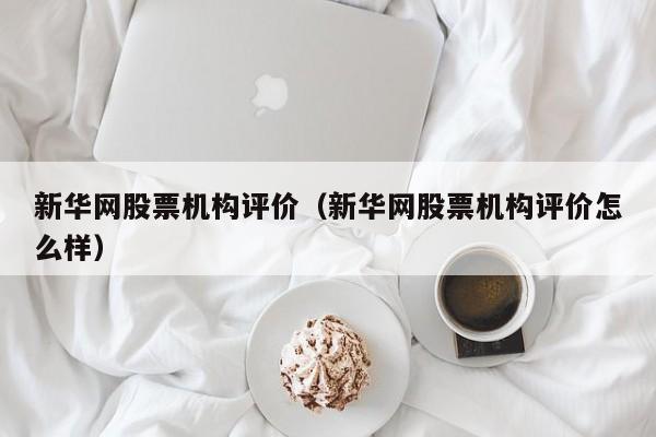 新华网股票机构评价（新华网股票机构评价怎么样）-第1张图片-股票学习网