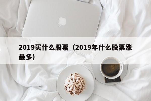 2019买什么股票（2019年什么股票涨最多）-第1张图片-股票学习网